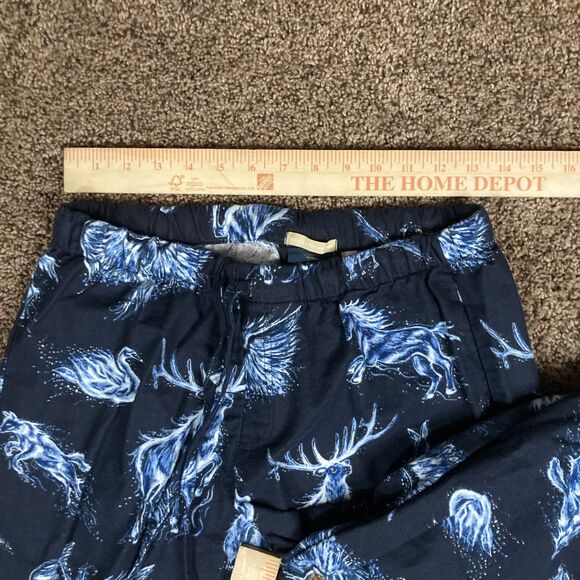 Pottery Barn Teen glow in the dark PATRONUS unisex Blue Pajama Set - Picture 9 of 13